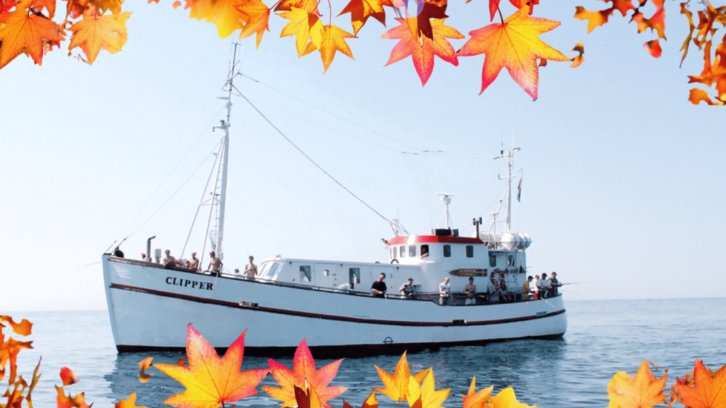 Fladen Fisketurer Höst!